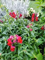IMG_20210613_190124.webp
