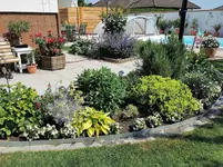 IMG_20210612_102500.webp