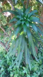 20210613_200751.webp