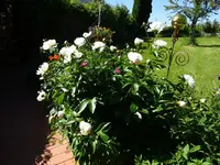 DSC01766.webp