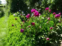DSC01770.webp