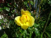 DSC01783.webp