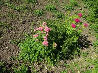 DSC01777.webp