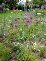 DSCN3010.webp
