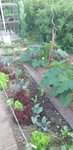 20210613_200232.jpg
