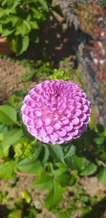 20210613_130738.webp