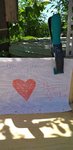 20210613_111246.jpg