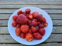 20210614_114205.webp