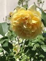 5F69B0EE-E1E7-407F-BF03-AA12455DF66A.webp