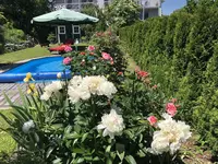 4C023D6F-7D37-4374-8621-573C1EC20C0E.webp