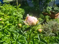 20210614_104348.webp