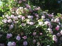 IMG_4342.webp
