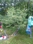 IMG_20210615_103642.jpg