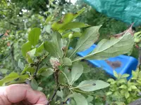 IMG_20210615_103820.webp