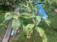 IMG_20210615_103826.webp