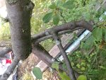 IMG_20210615_103903.jpg