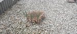 20210615_173610.jpg
