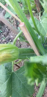 20210615_193035.webp