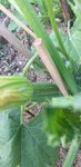 20210615_193035.jpg