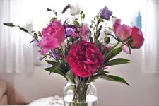 image001.webp