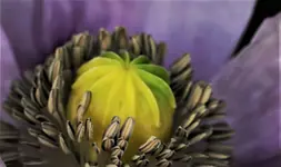 ftwttbwrbJun21.webp