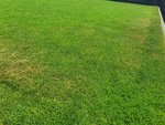 20210616_140432.jpg