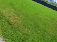 20210616_140425.webp