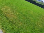 20210616_140425.jpg