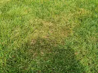 20210616_140402.webp