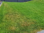 20210616_140357.jpg
