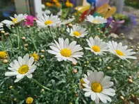 20210616_163901.webp