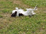 IMG_20210612_161733.jpg
