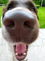 IMG-20200530-WA0000.webp