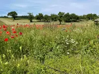 EBD5B867-87E5-454C-A662-ABF7D9851A00.webp