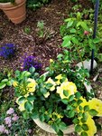IMG_20210616_093430_1.jpg