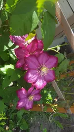 20210612_180330.webp
