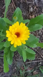 20210612_180352.webp