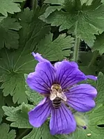 IMG_8404.JPG
