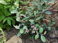 IMG_20210616_172404.webp