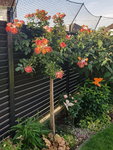 20210617_073758.jpg