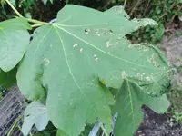 IMG_20210616_085039.webp IMG_20210616_085039.webp