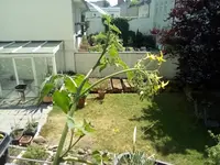 IMG_20210617_115549.webp