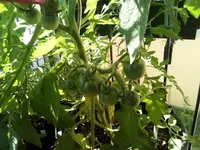 IMG_20210617_115611.webp