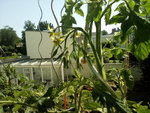 IMG_20210617_115657.jpg