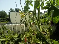 IMG_20210617_115657.webp