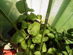 IMG_20210617_115447.jpg