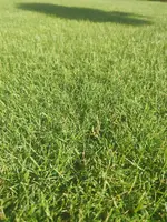 IMG_20210617_082854_klein.webp