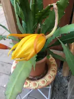 CD85EAF5-7267-4C3D-A4DF-0E154C2FAE73.webp CD85EAF5-7267-4C3D-A4DF-0E154C2FAE73.webp