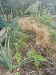 IMG_20210617_200919.jpg