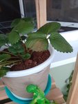 20210617_214759.jpg